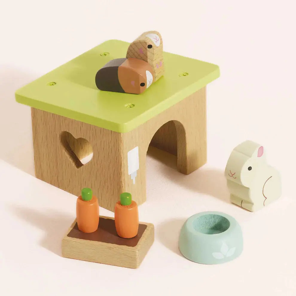 Conjunto de Animais de Estimação Coelhinho e Guiné