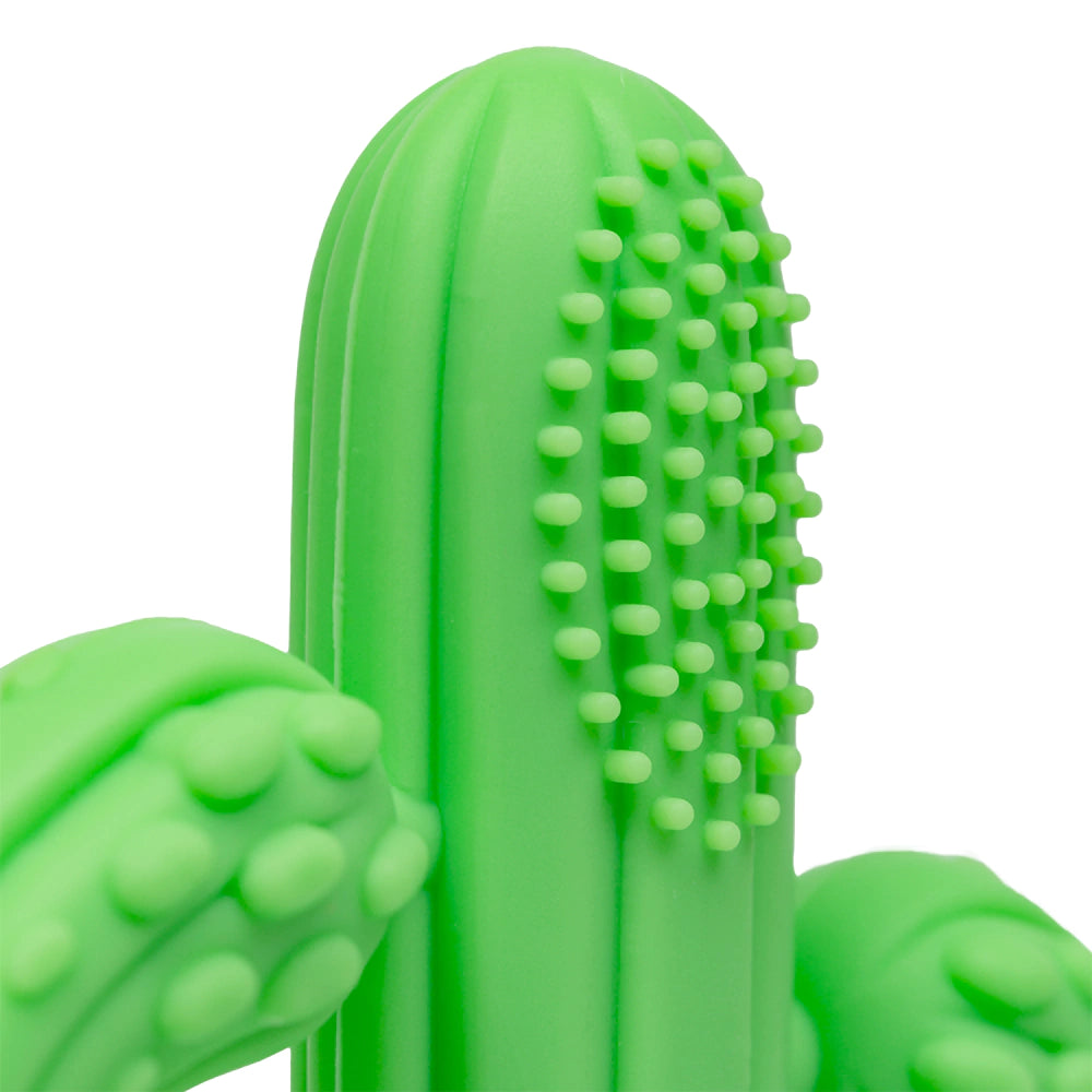 Massageador de Gengiva Cacto - Buba