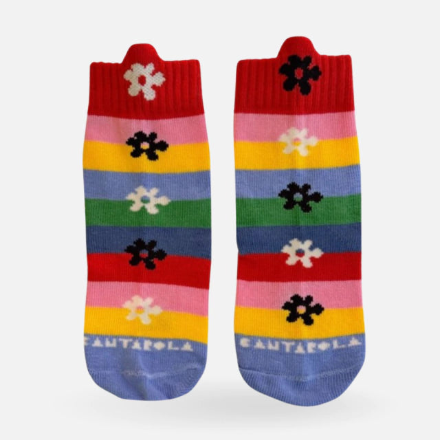 Soquete Cantarola - Cantarola