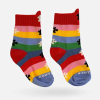 Soquete Cantarola - Cantarola