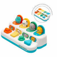 Pop-up Buba Zoo