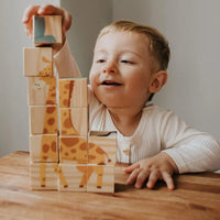 Quebra-Cabeças Cubos Baby Selva